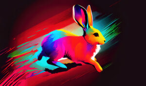 Rabbit illustration