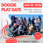 APIQWTC Doggie Play Date – August 29th, 2026